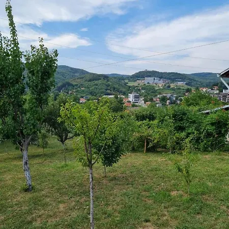 Apartmani Radakovic 维尔蒂尼克 外观 照片