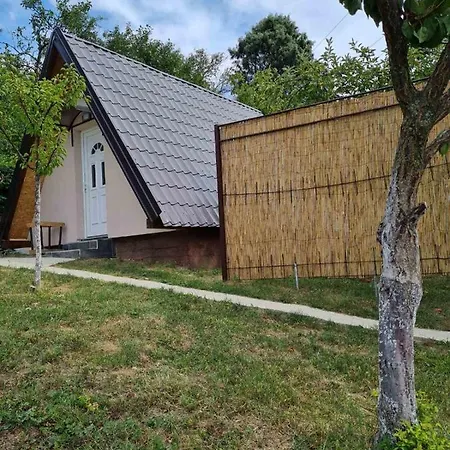 Apartmani Radakovic 维尔蒂尼克 外观 照片